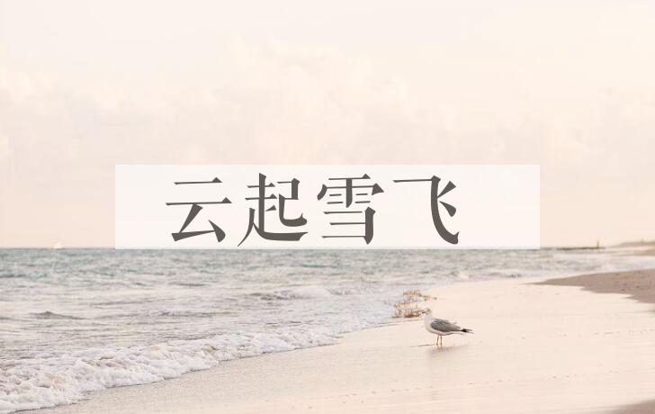 成语云起雪飞是什么意思？