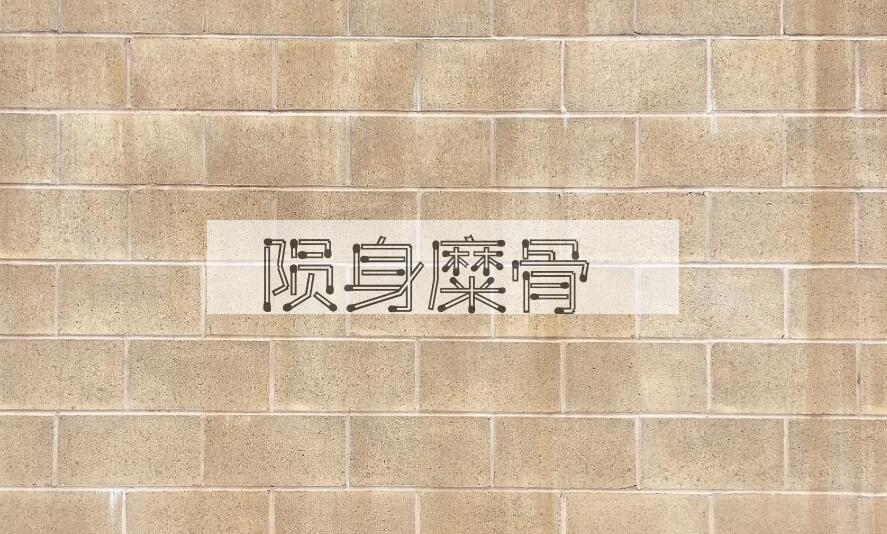 成语陨身糜骨是什么意思？