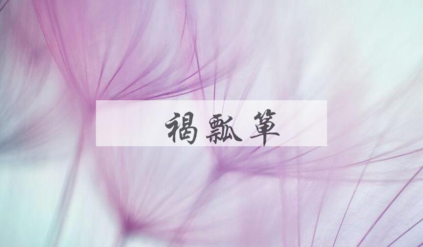 成语缊褐瓢箪是什么意思？