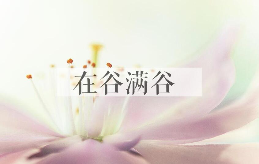 成语在谷满谷是什么意思？