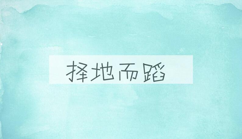 成语择地而蹈是什么意思？