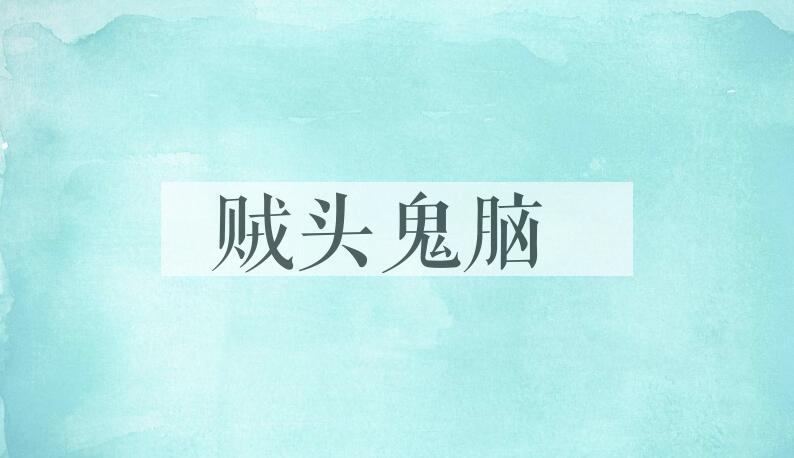 成语贼头鬼脑是什么意思？