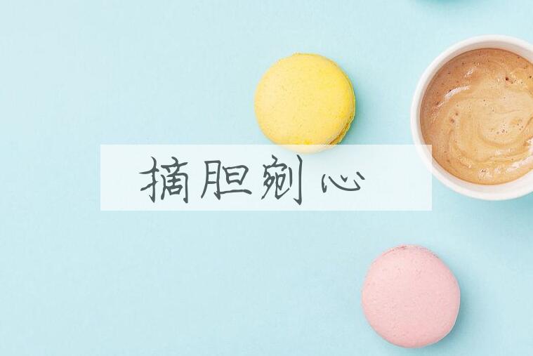 成语摘胆剜心是什么意思？