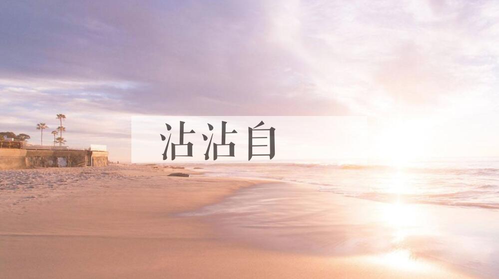 成语沾沾自衒是什么意思？