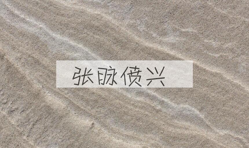 成语张脉偾兴是什么意思？