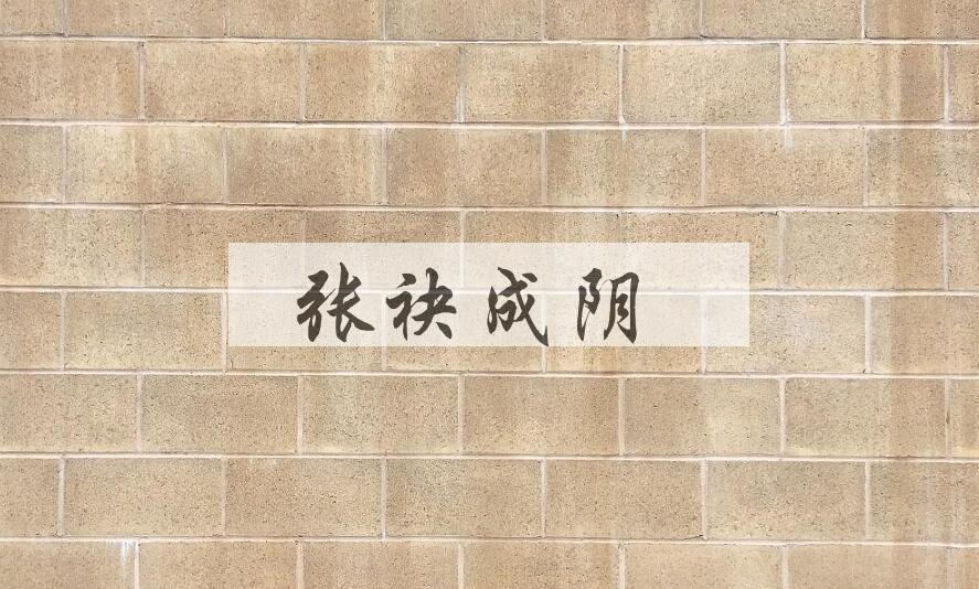 成语张袂成阴是什么意思？