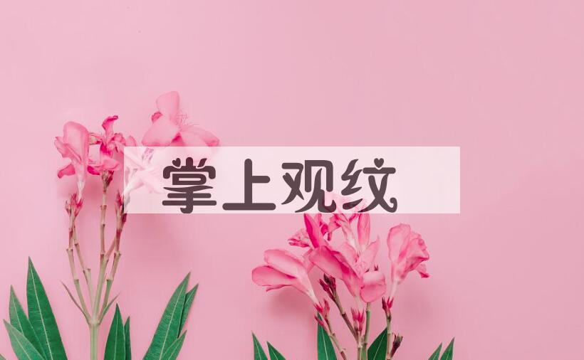 成语掌上观纹是什么意思？