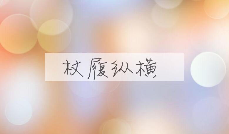 成语杖履纵横是什么意思？