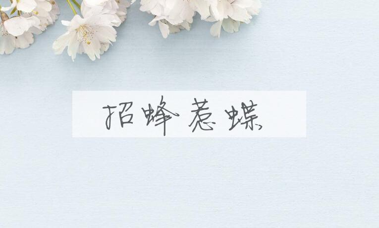 成语招蜂惹蝶是什么意思？
