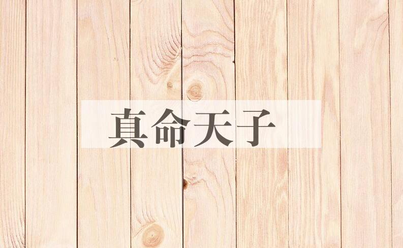成语真命天子是什么意思？