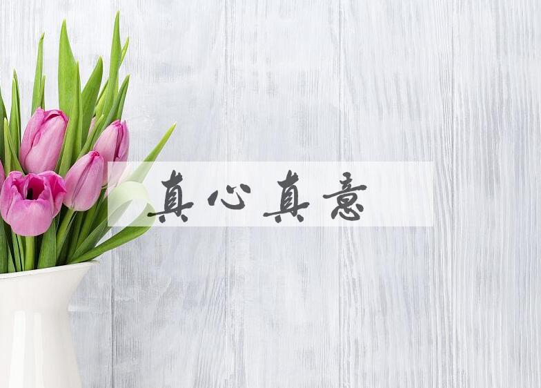 成语真心真意是什么意思？