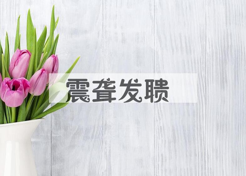 成语震聋发聩是什么意思？