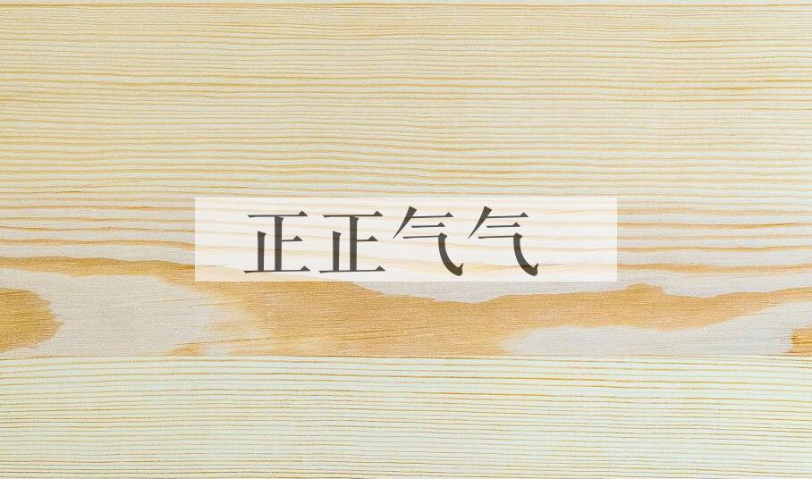 成语正正气气是什么意思？