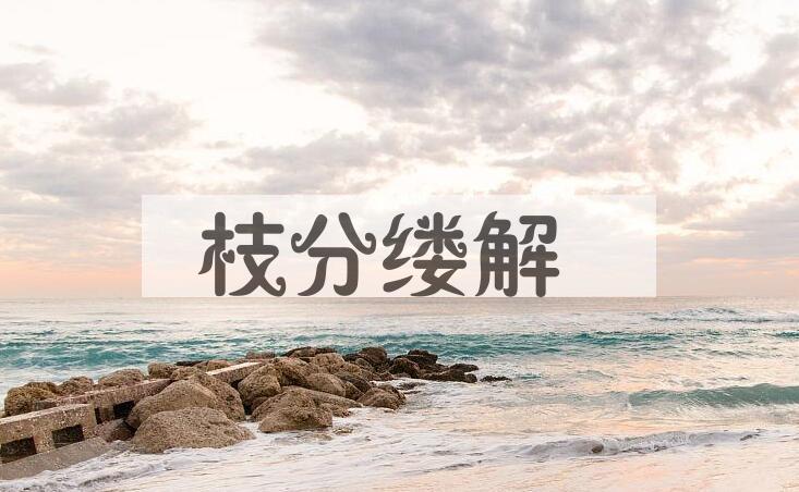 成语枝分缕解是什么意思？