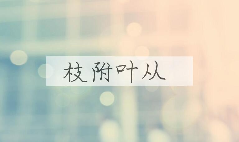 成语枝附叶从是什么意思？