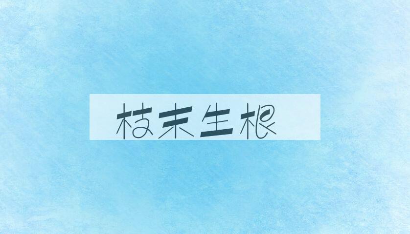 成语枝末生根是什么意思？