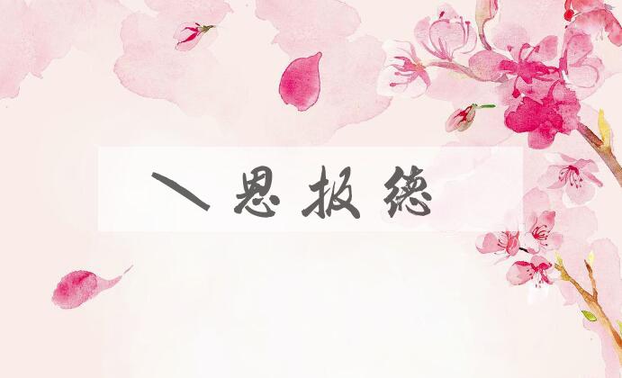 成语知恩报德是什么意思？