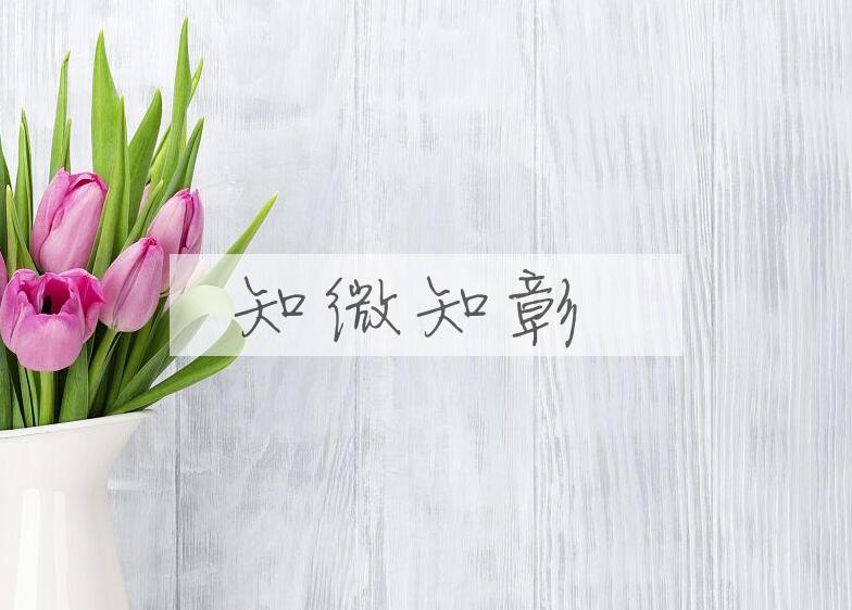 成语知微知彰是什么意思？