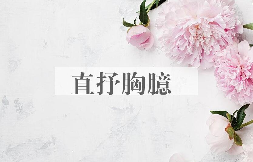 成语直抒胸臆是什么意思？