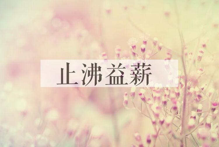 成语止沸益薪是什么意思？