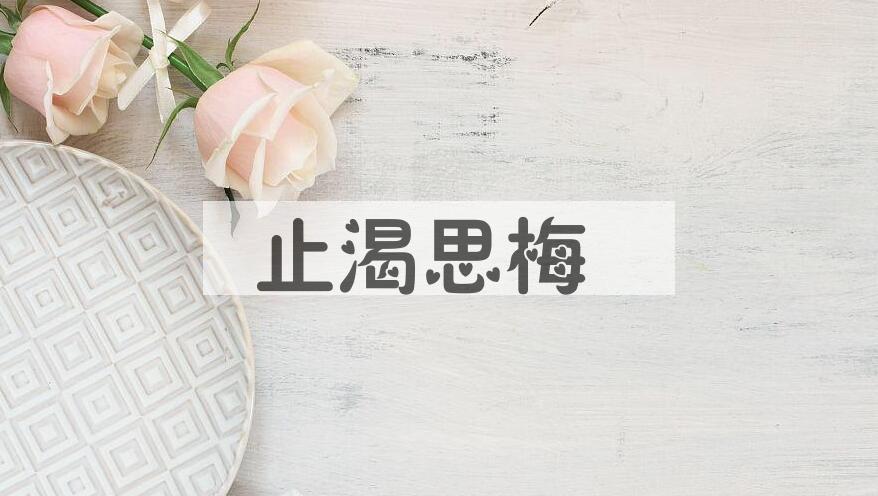 成语止渴思梅是什么意思？