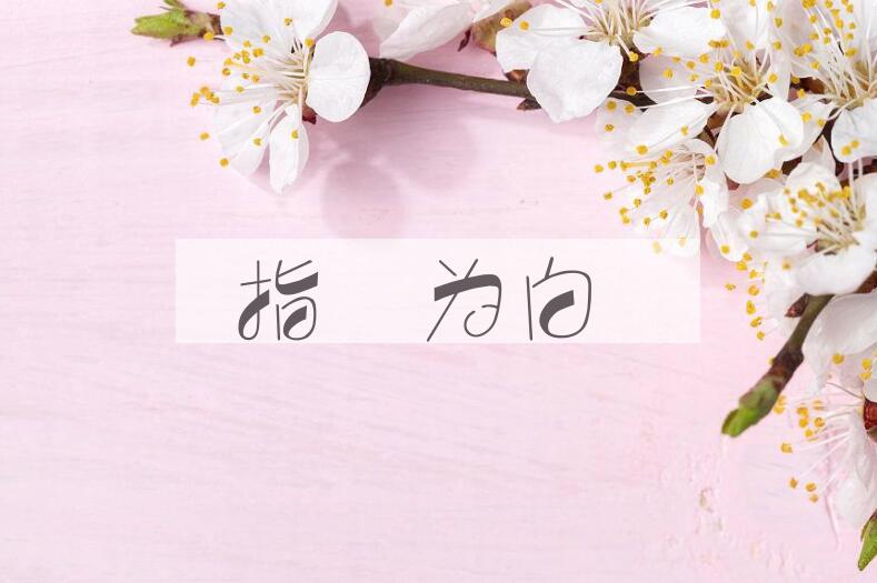 成语指皁为白是什么意思？