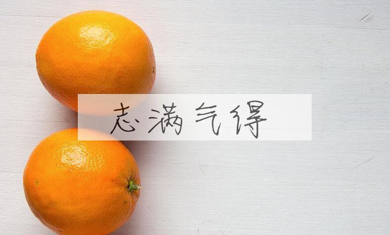 成语志满气得是什么意思？