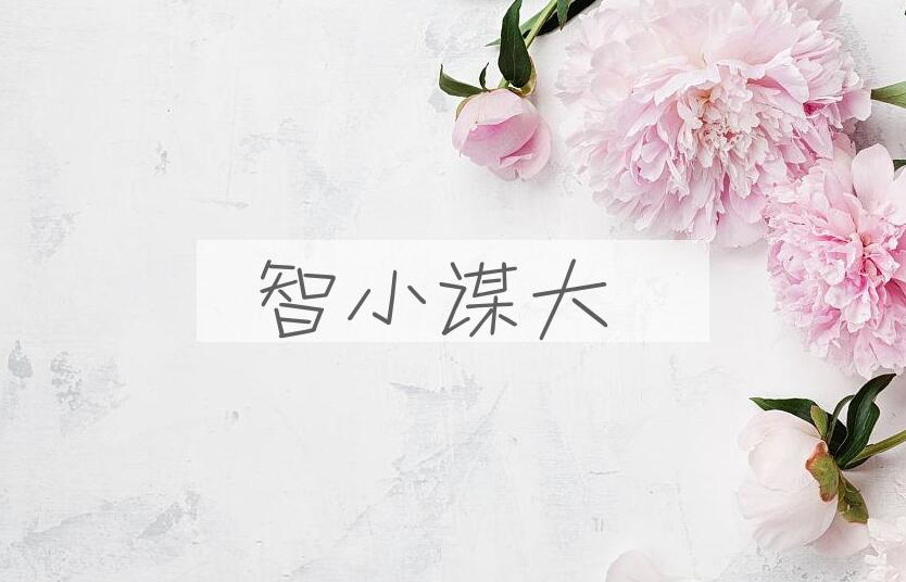 成语智小谋大是什么意思？