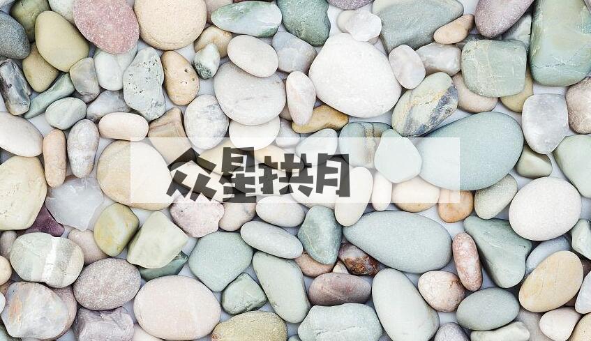 成语众星拱月是什么意思？