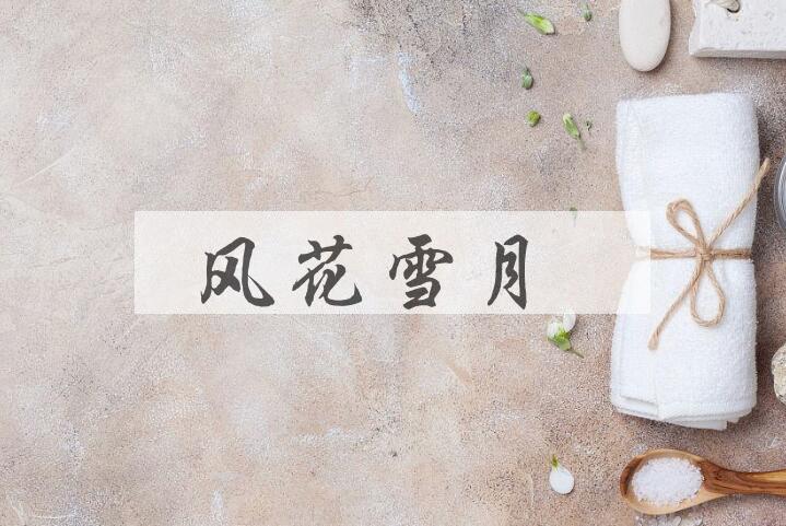 成语风花雪月是什么意思？