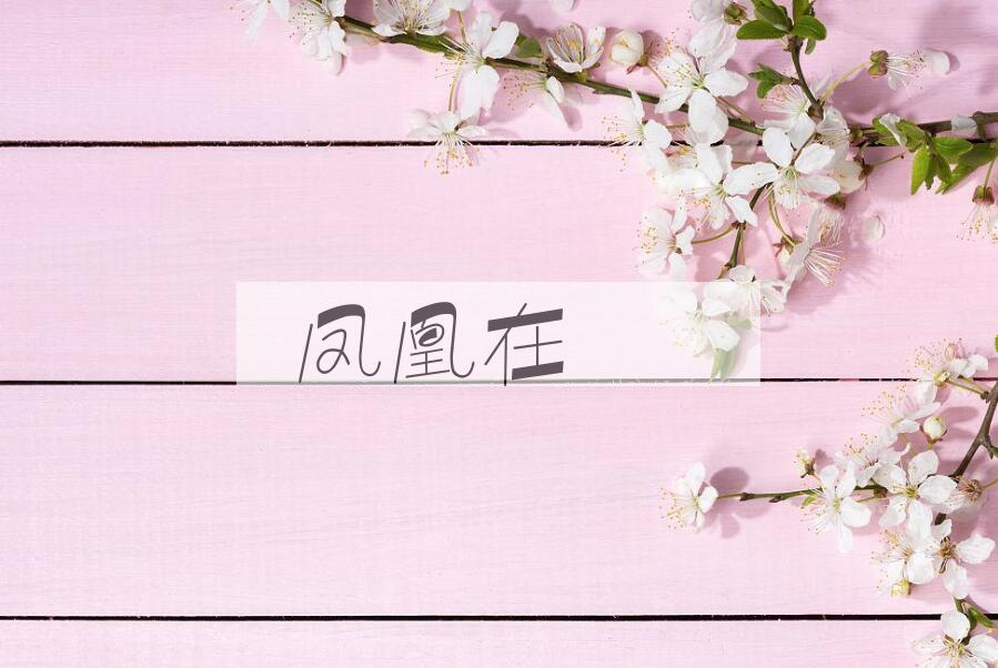 成语凤凰在笯是什么意思？