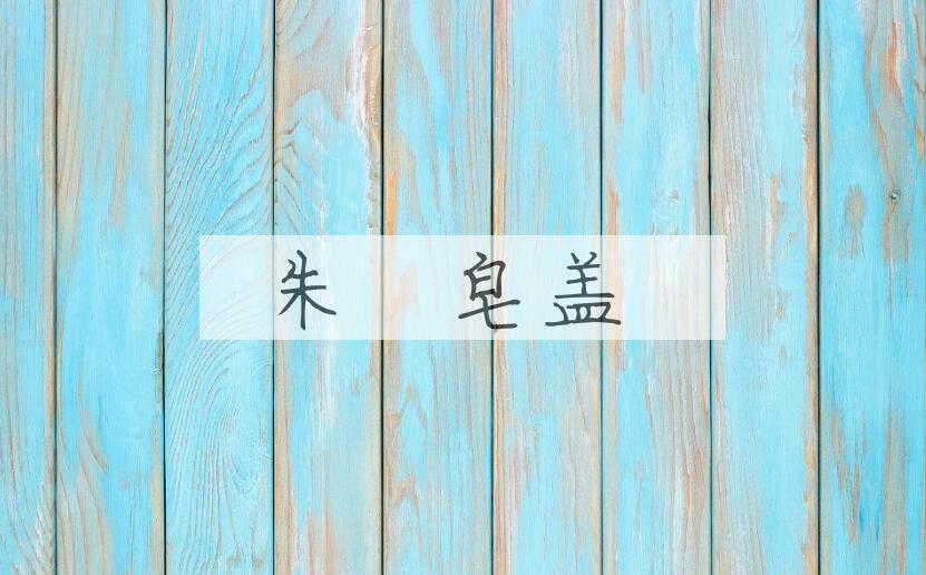 成语朱辬皂盖是什么意思？