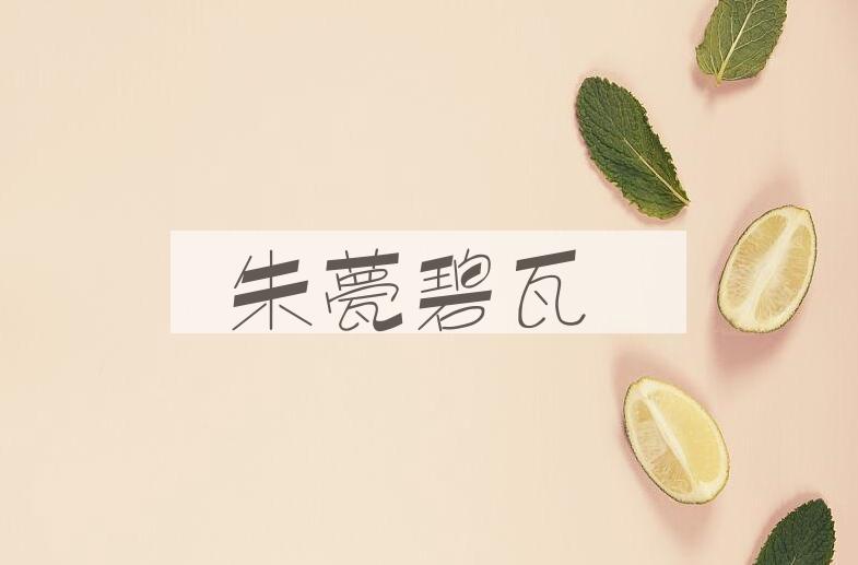 成语朱甍碧瓦是什么意思？