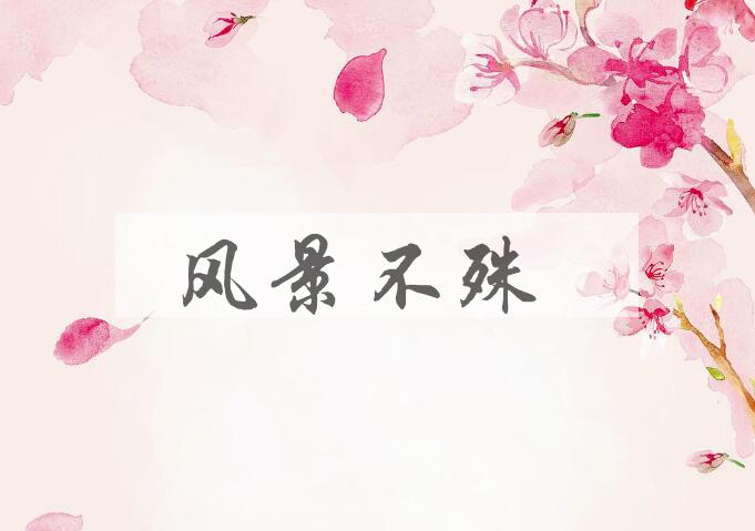 成语风景不殊是什么意思？