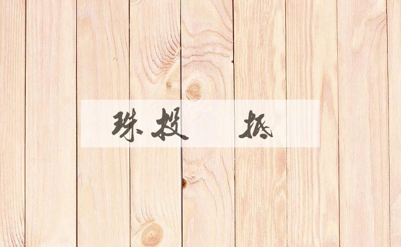 成语珠投璧抵是什么意思？