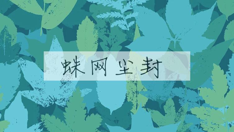 成语蛛网尘封是什么意思？