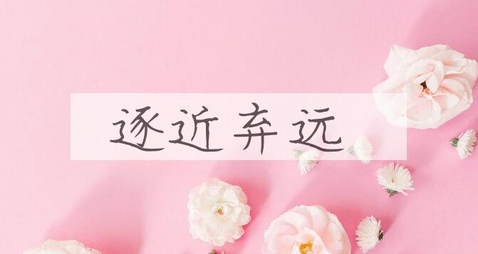 成语逐近弃远是什么意思？