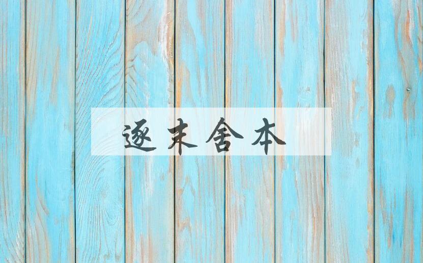 成语逐末舍本是什么意思？