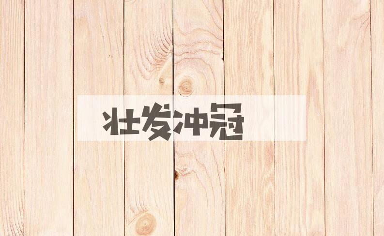 成语壮发冲冠是什么意思？