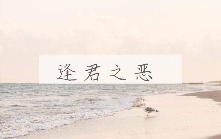 成语逢君之恶是什么意思？