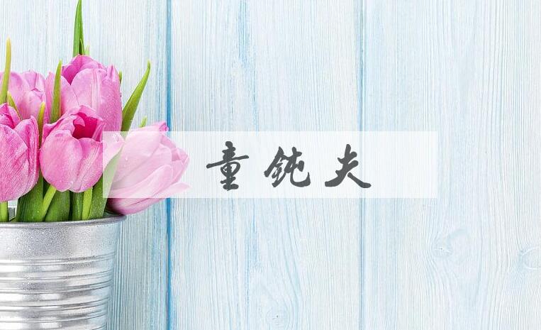 成语騣童钝夫是什么意思？