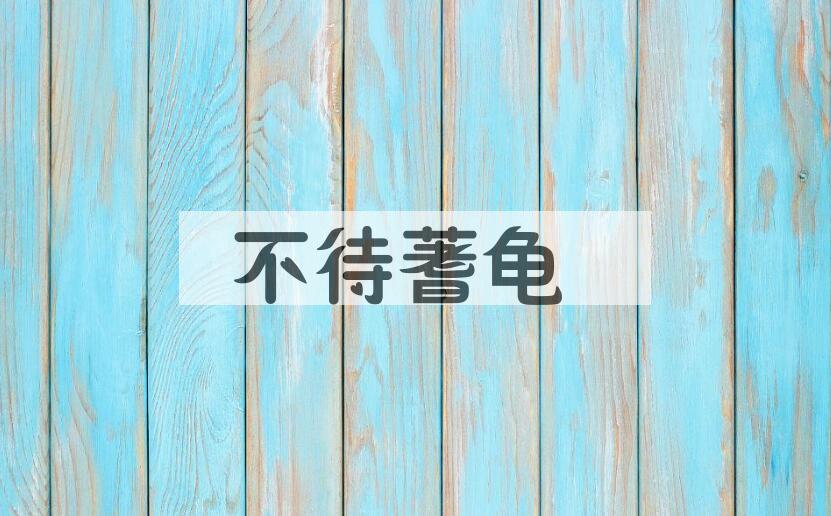 成语不待蓍龟是什么意思？