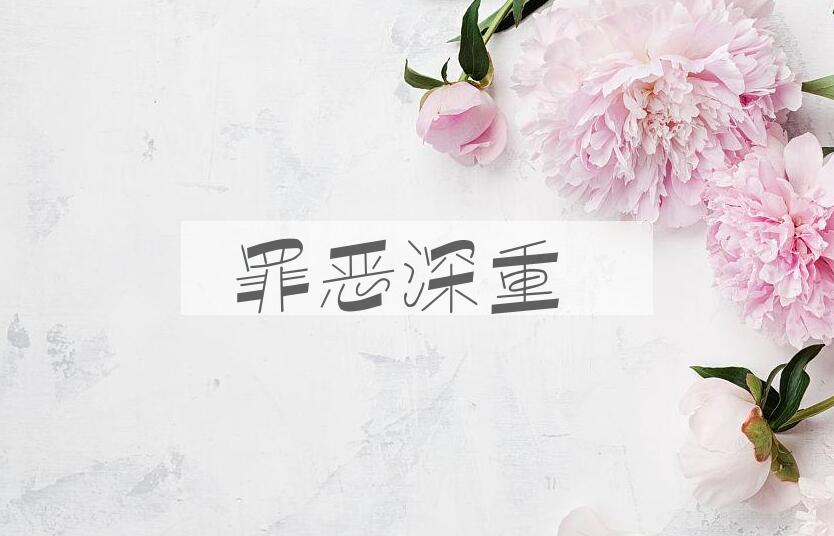 成语罪恶深重是什么意思？