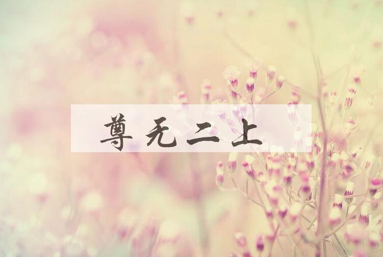 成语尊无二上是什么意思？