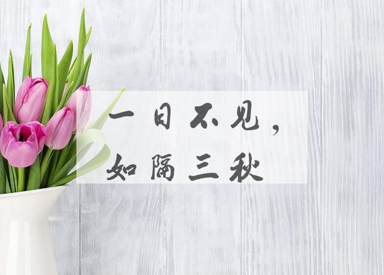 成语一日不见，如隔三秋是什么意思？