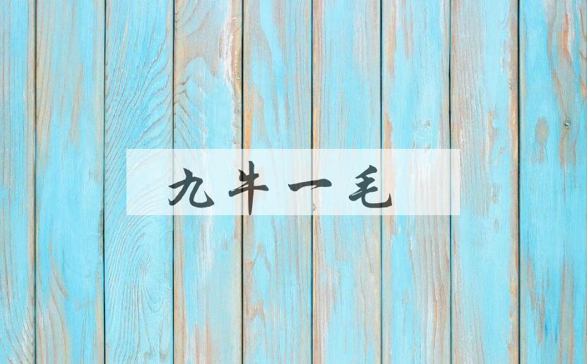 成语九牛一毛是什么意思？