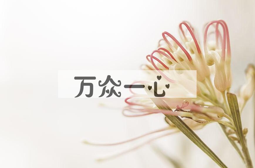 成语万众一心是什么意思？