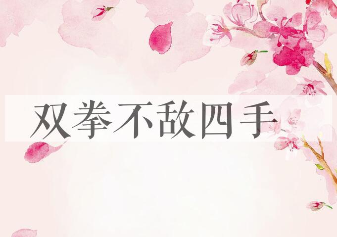 成语双拳不敌四手是什么意思？