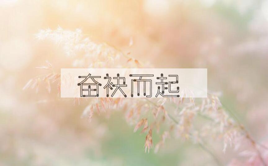 成语奋袂而起是什么意思？