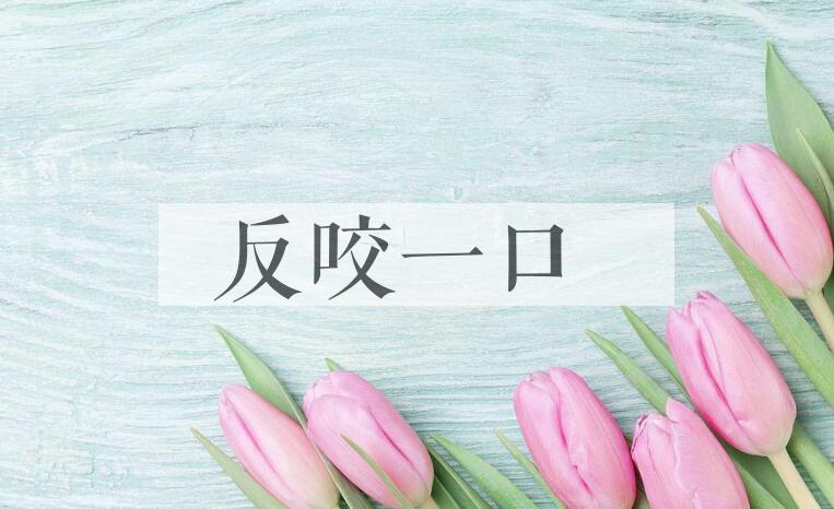 成语反咬一口是什么意思？